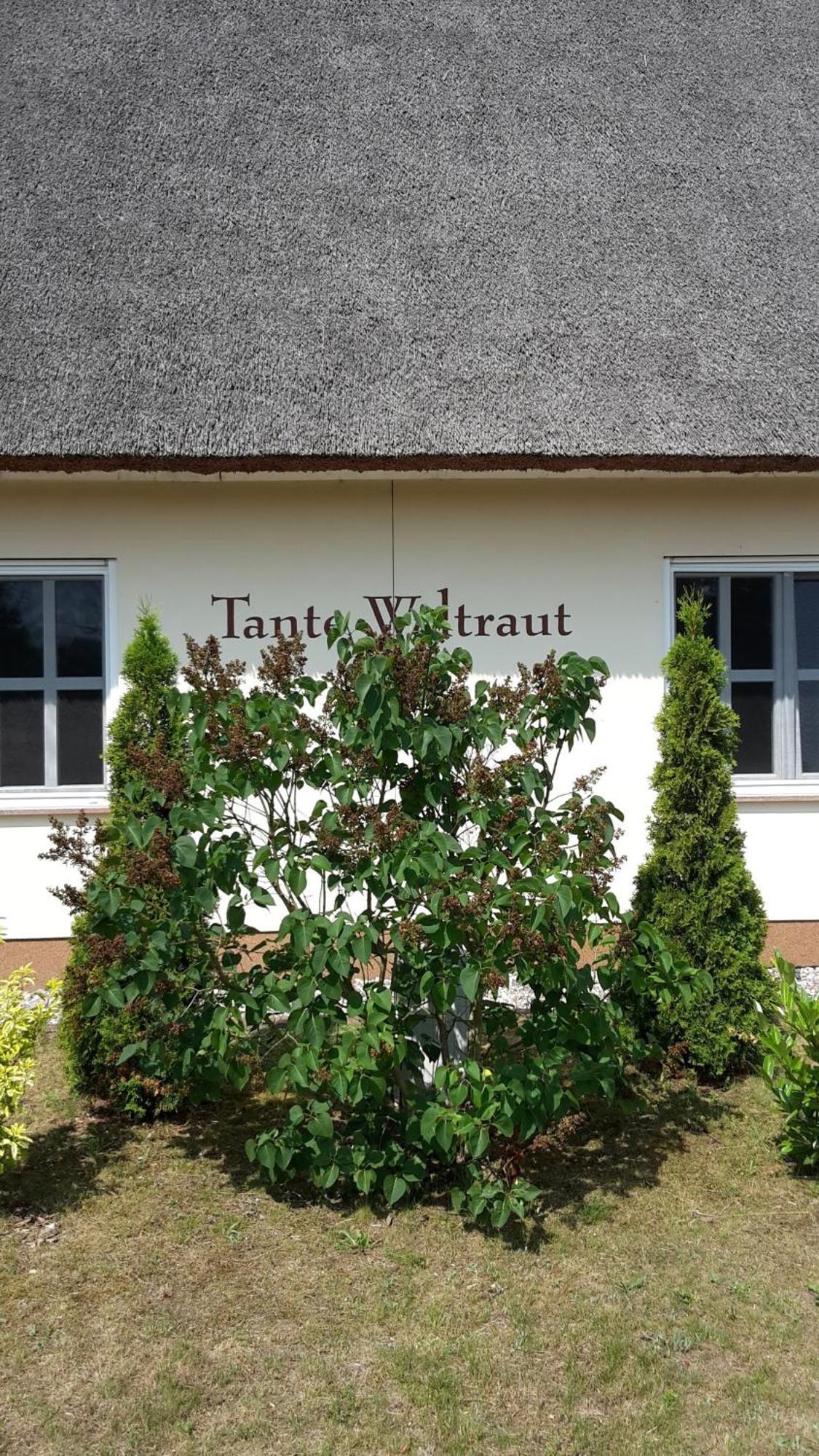 Haeuschen "Tante Waltraut" Villa Garz  Luaran gambar